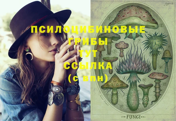 СК Аркадак