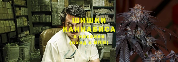 СК Аркадак